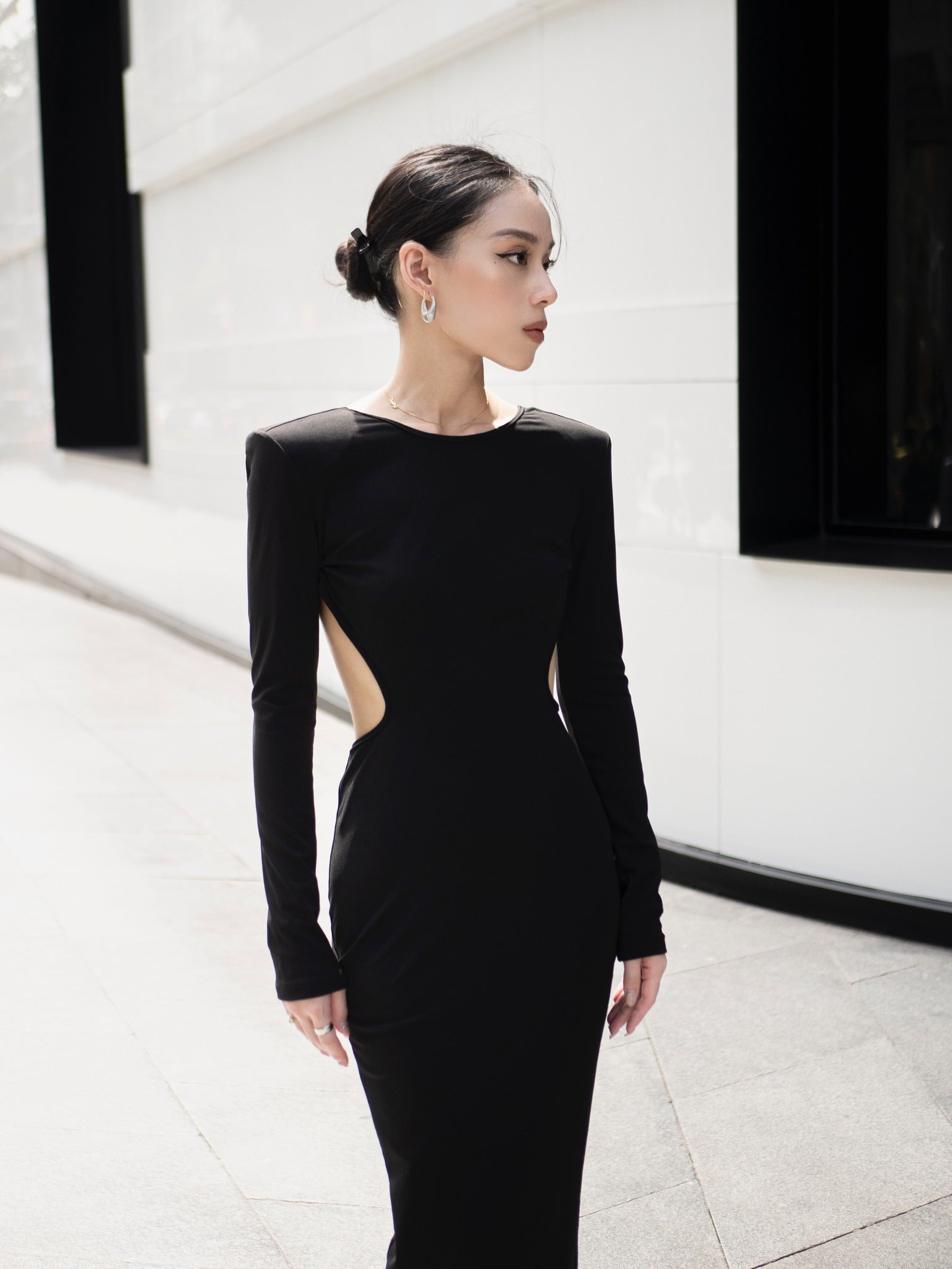 Black Swan Dress