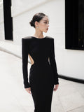 Black Swan Dress