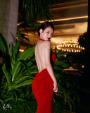 Đầm Trống Lưng Nhún Hông (Red Velvet Dress)